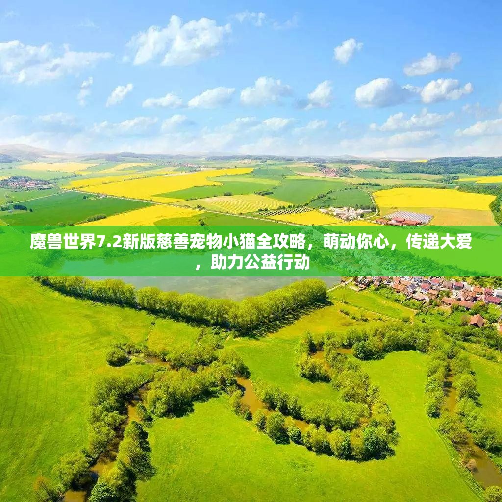 魔兽世界7.2新版慈善宠物小猫全攻略，萌动你心，传递大爱，助力公益行动
