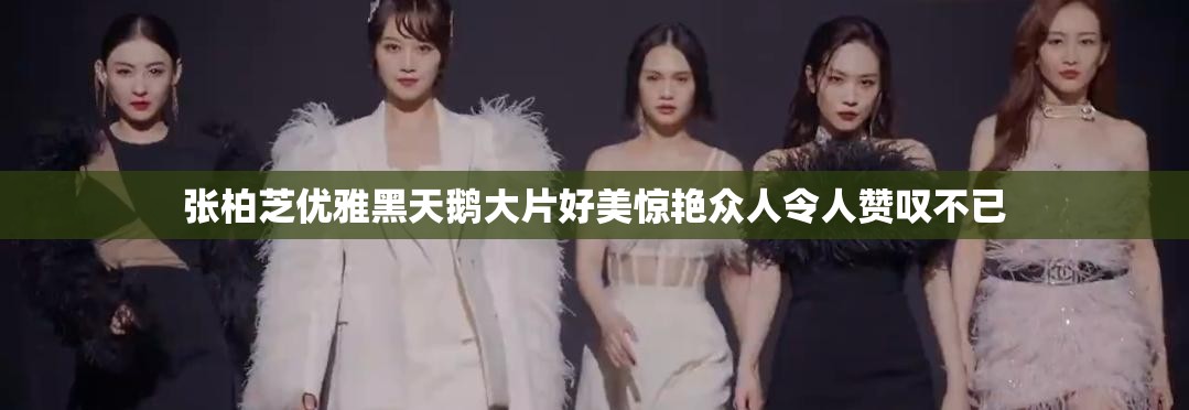 张柏芝优雅黑天鹅大片好美惊艳众人令人赞叹不已