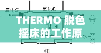 THERMO 脱色摇床的工作原理：深入探究其运行机制