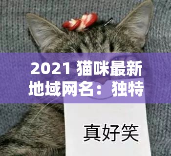 2021 猫咪最新地域网名：独特魅力引领潮流风尚