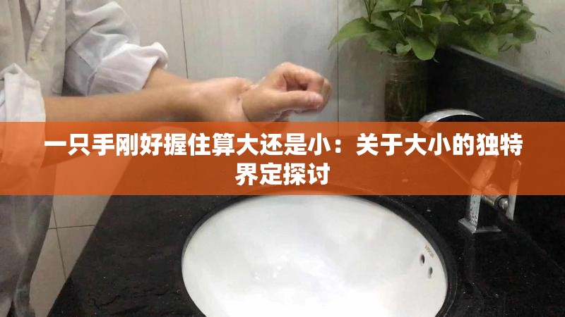 一只手刚好握住算大还是小：关于大小的独特界定探讨