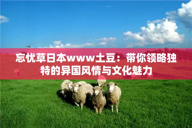 忘忧草日本www土豆：带你领略独特的异国风情与文化魅力