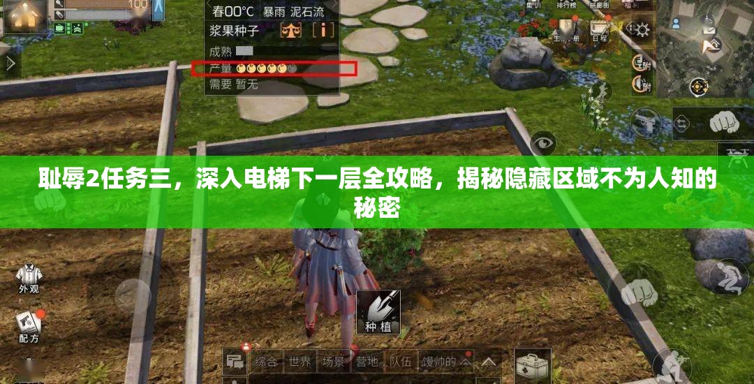 耻辱2任务三，深入电梯下一层全攻略，揭秘隐藏区域不为人知的秘密