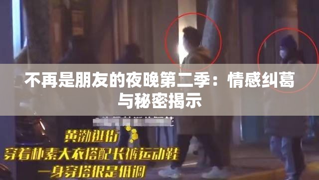 不再是朋友的夜晚第二季：情感纠葛与秘密揭示