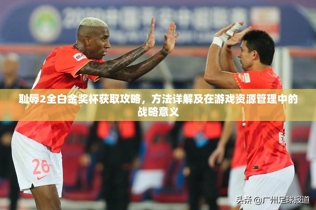 耻辱2全白金奖杯获取攻略，方法详解及在游戏资源管理中的战略意义