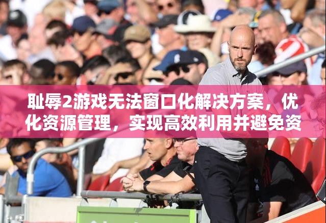 耻辱2游戏无法窗口化解决方案，优化资源管理，实现高效利用并避免资源浪费