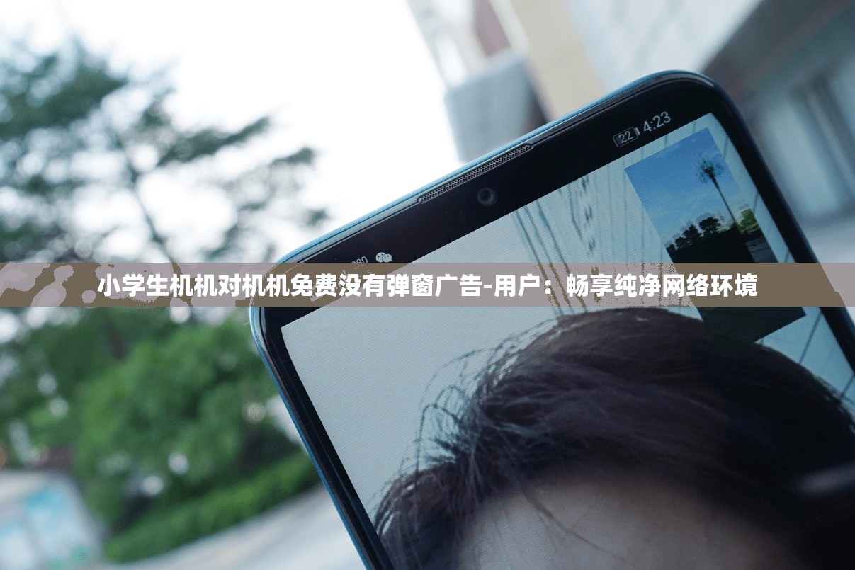 小学生机机对机机免费没有弹窗广告-用户：畅享纯净网络环境