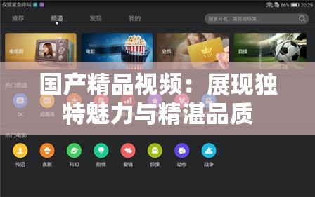 国产精品视频：展现独特魅力与精湛品质