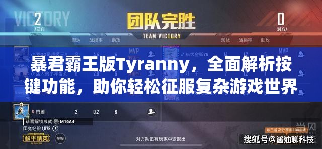 暴君霸王版Tyranny，全面解析按键功能，助你轻松征服复杂游戏世界