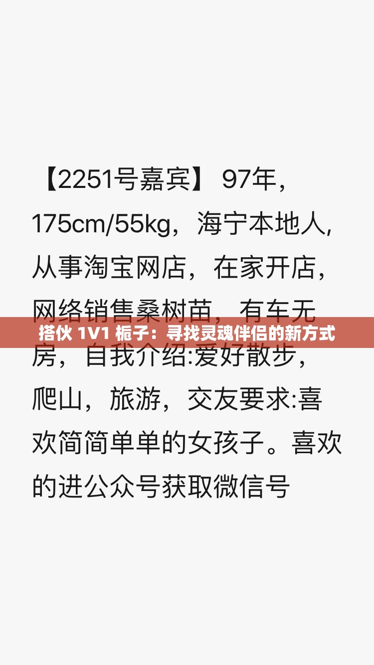搭伙 1V1 栀子：寻找灵魂伴侣的新方式