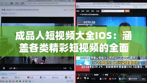 成品人短视频大全IOS：涵盖各类精彩短视频的全面集合