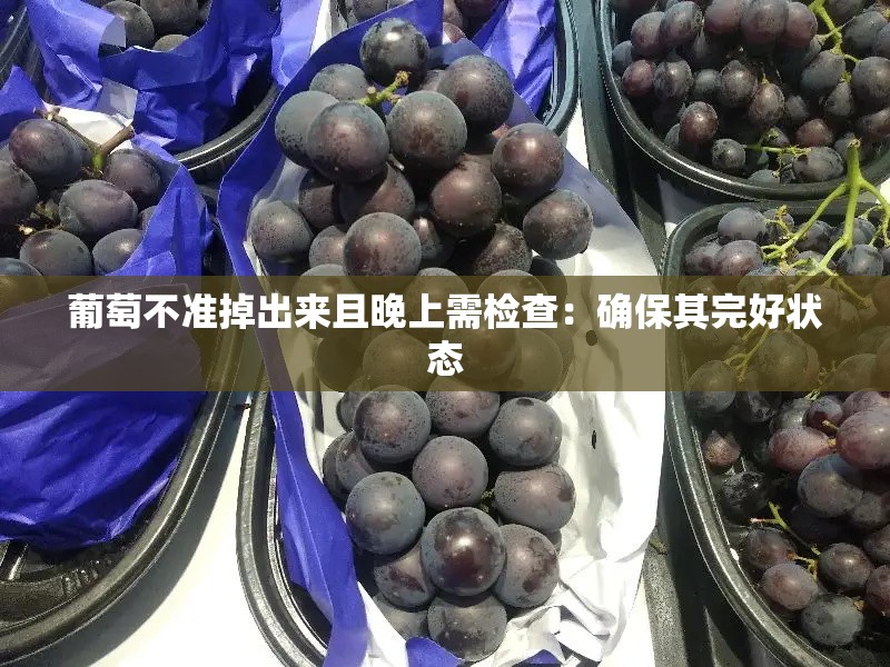 葡萄不准掉出来且晚上需检查：确保其完好状态