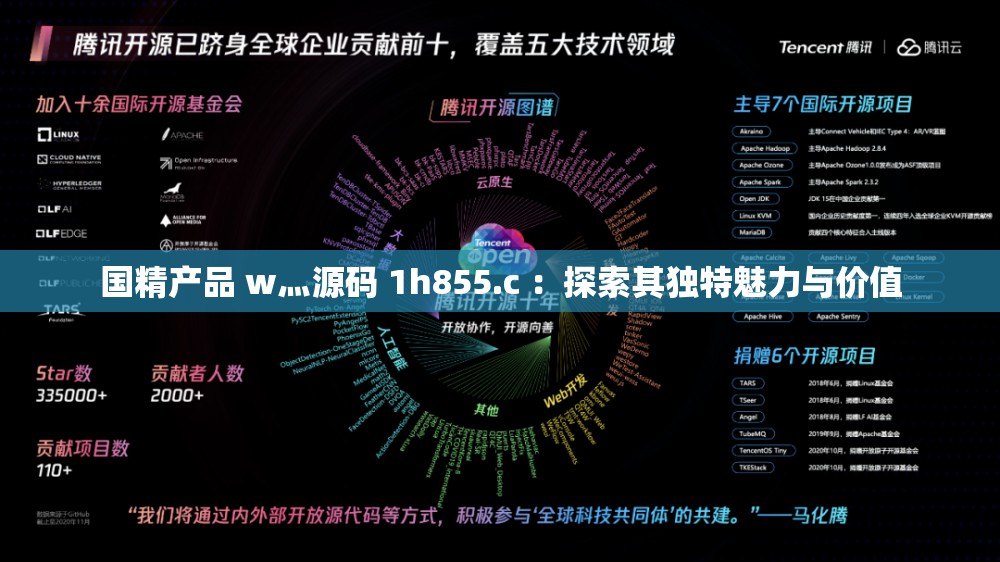 国精产品 w灬源码 1h855.c ：探索其独特魅力与价值