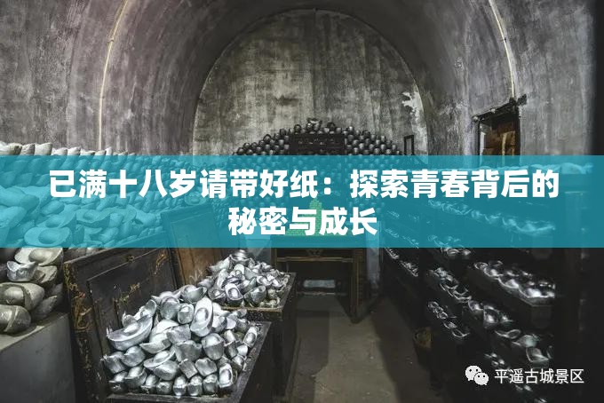 已满十八岁请带好纸：探索青春背后的秘密与成长