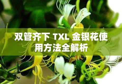 双管齐下 TXL 金银花使用方法全解析