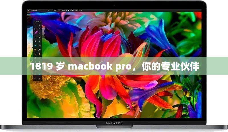 1819 岁 macbook pro，你的专业伙伴