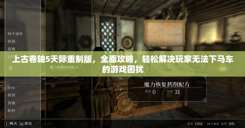 上古卷轴5天际重制版，全面攻略，轻松解决玩家无法下马车的游戏困扰
