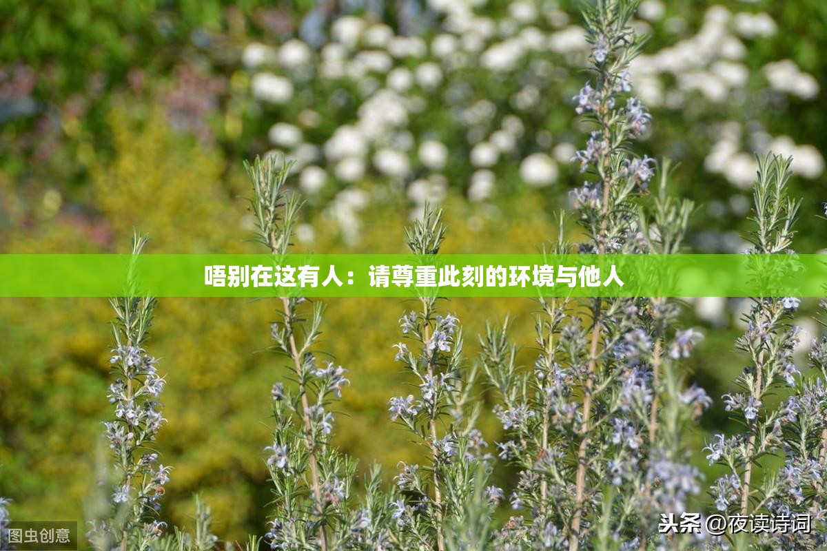 唔别在这有人：请尊重此刻的环境与他人