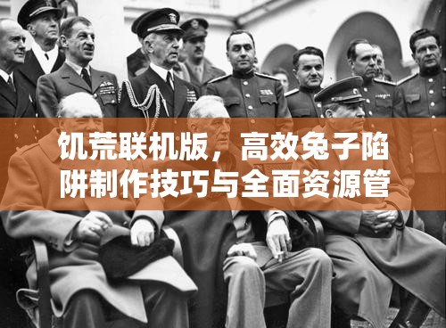 饥荒联机版，高效兔子陷阱制作技巧与全面资源管理优化策略
