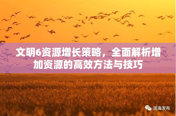 文明6资源增长策略，全面解析增加资源的高效方法与技巧