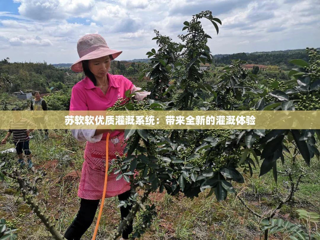 苏软软优质灌溉系统：带来全新的灌溉体验