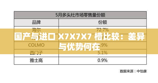 国产与进口 X7X7X7 槽比较：差异与优势何在