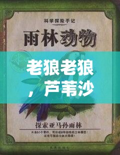 老狼老狼，芦苇沙沙，芭蕉高高：森林里的奇妙冒险
