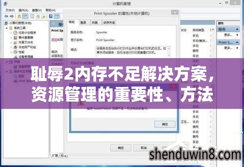 耻辱2内存不足解决方案，资源管理的重要性、方法及实践攻略