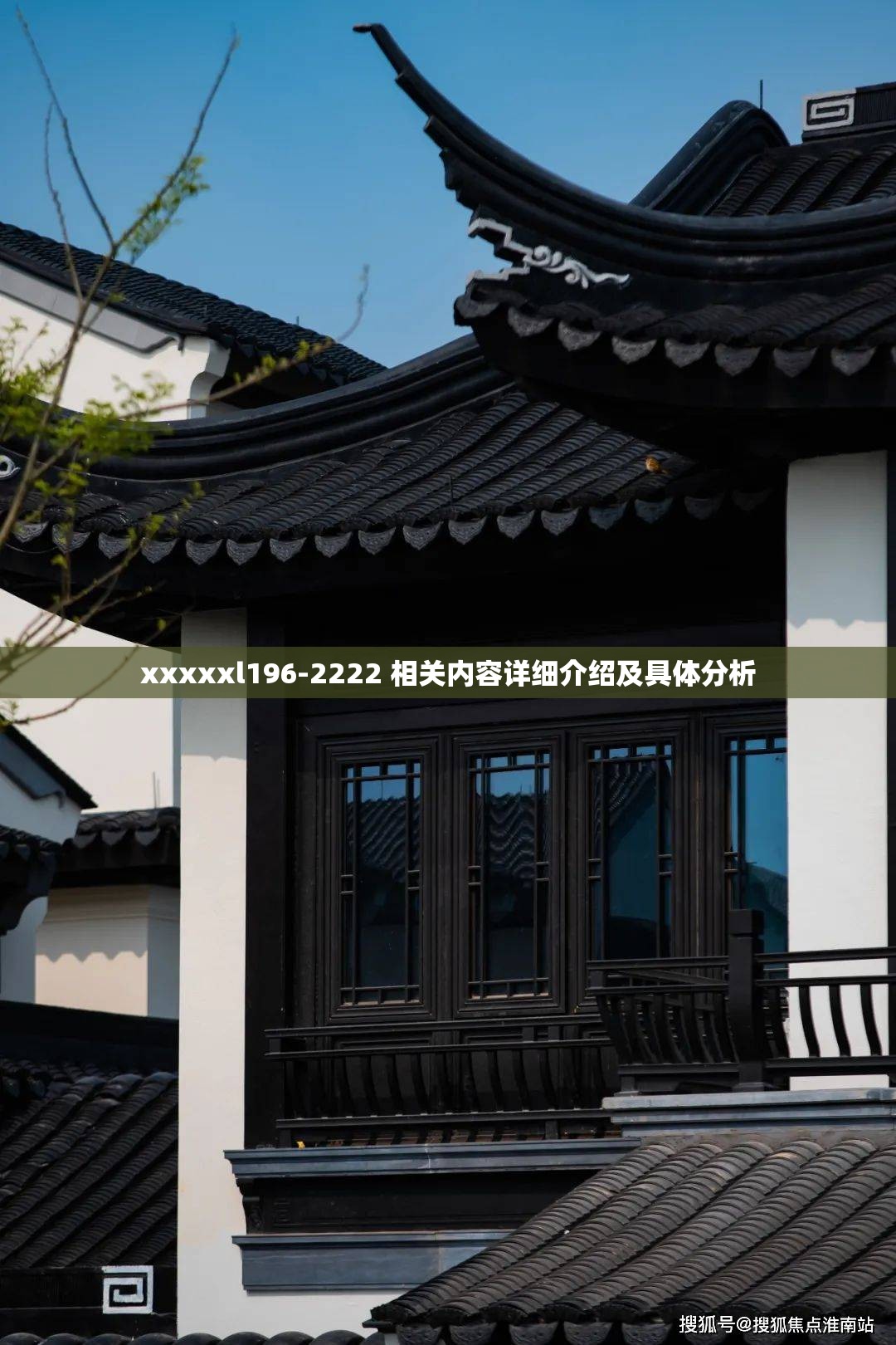 xxxxxl196-2222 相关内容详细介绍及具体分析