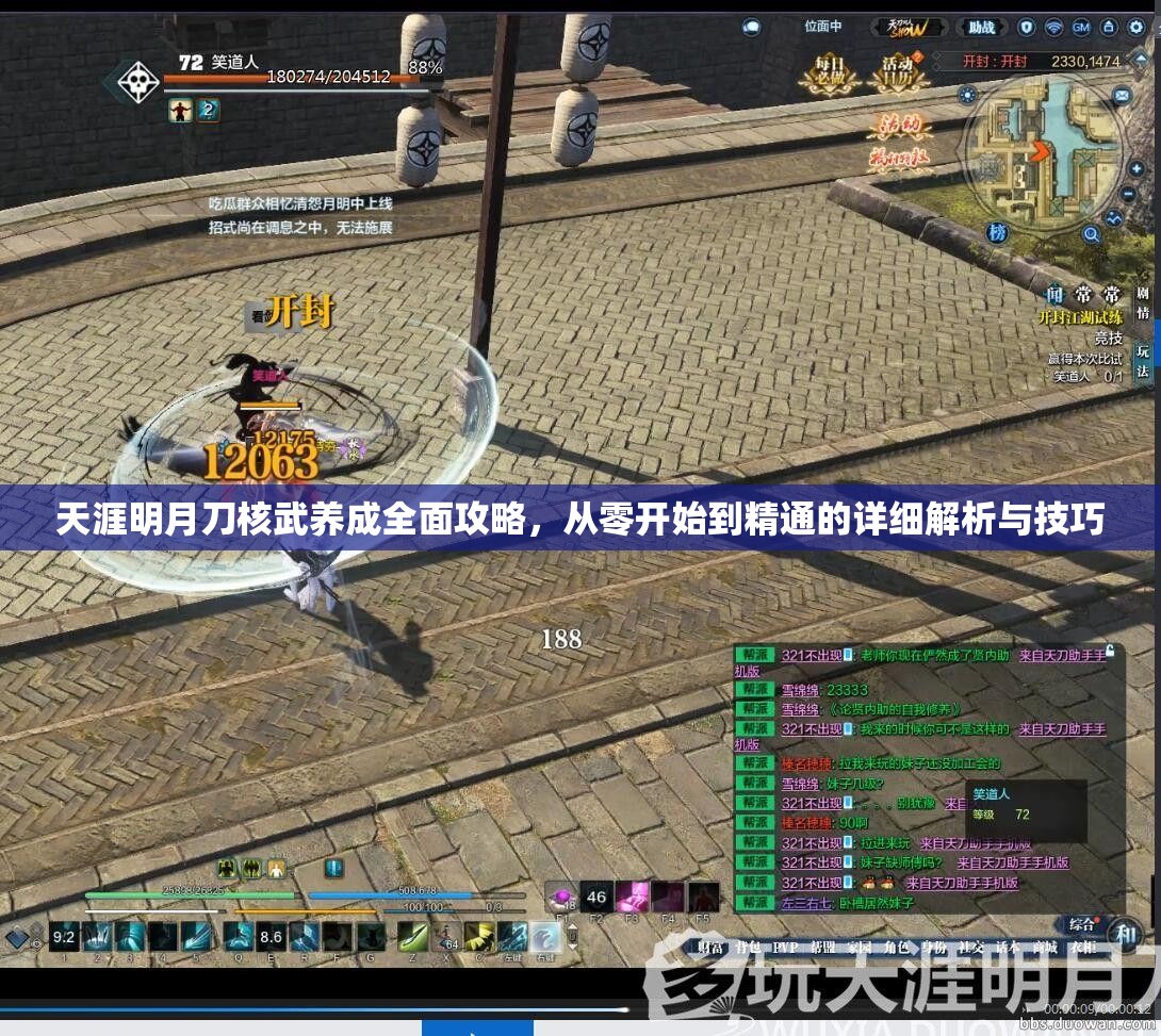 天涯明月刀核武养成全面攻略，从零开始到精通的详细解析与技巧