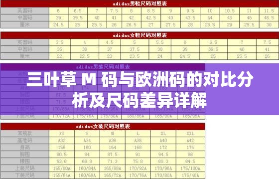 三叶草 M 码与欧洲码的对比分析及尺码差异详解