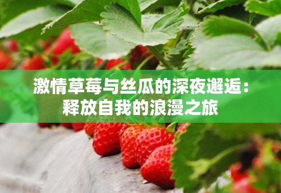 激情草莓与丝瓜的深夜邂逅：释放自我的浪漫之旅
