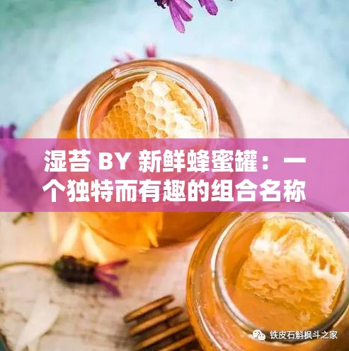 湿苔 BY 新鲜蜂蜜罐：一个独特而有趣的组合名称