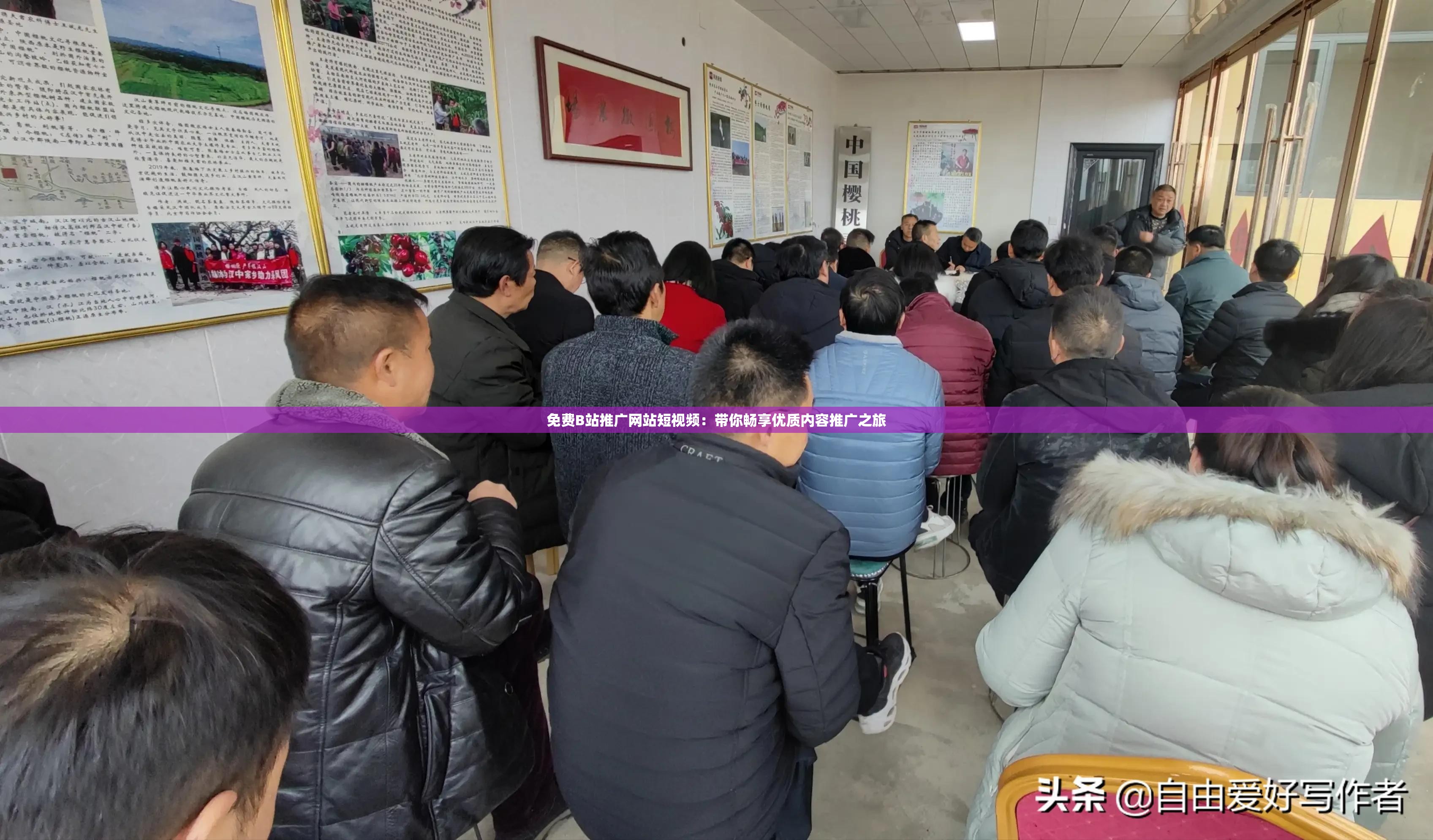 免费B站推广网站短视频：带你畅享优质内容推广之旅