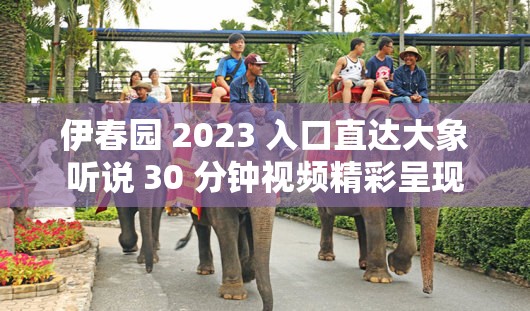 伊春园 2023 入口直达大象听说 30 分钟视频精彩呈现