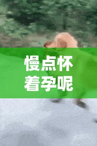 慢点怀着孕呢，一定要小心肚子哦