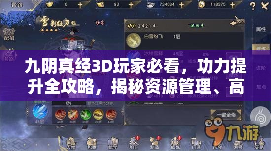 九阴真经3D玩家必看，功力提升全攻略，揭秘资源管理、高效利用及价值最大化技巧
