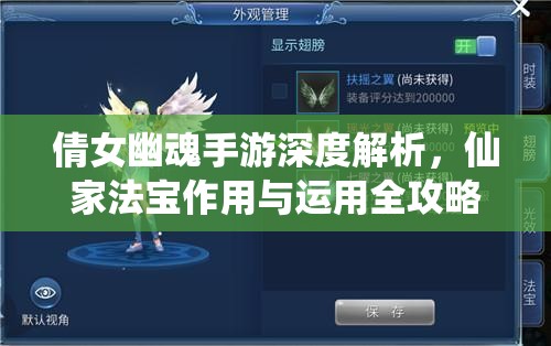 倩女幽魂手游深度解析，仙家法宝作用与运用全攻略指南