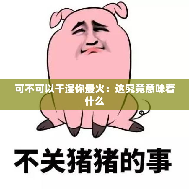 可不可以干湿你最火：这究竟意味着什么