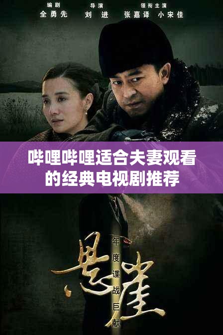 哔哩哔哩适合夫妻观看的经典电视剧推荐