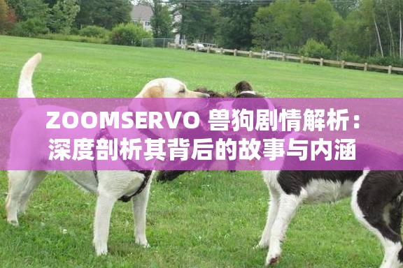 ZOOMSERVO 兽狗剧情解析：深度剖析其背后的故事与内涵