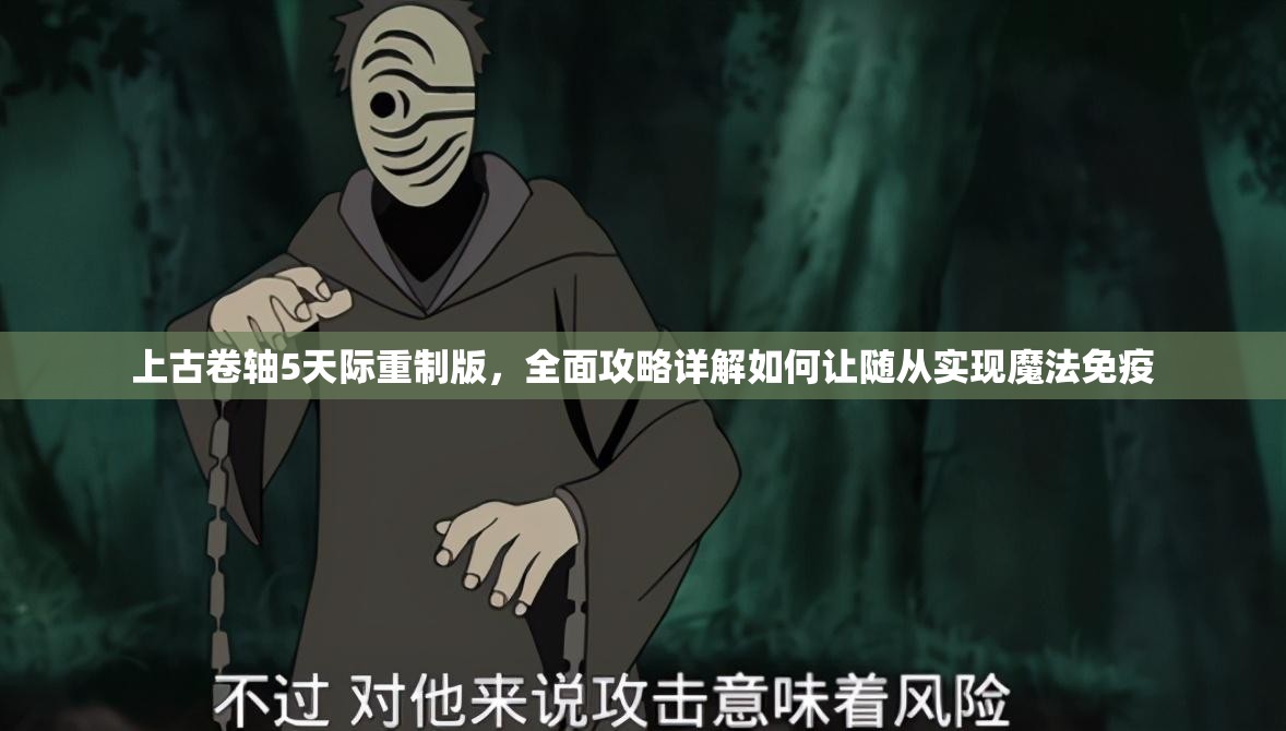 上古卷轴5天际重制版，全面攻略详解如何让随从实现魔法免疫