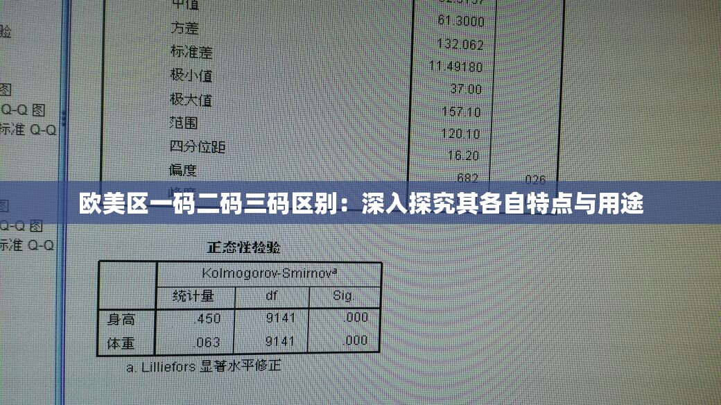 欧美区一码二码三码区别：深入探究其各自特点与用途