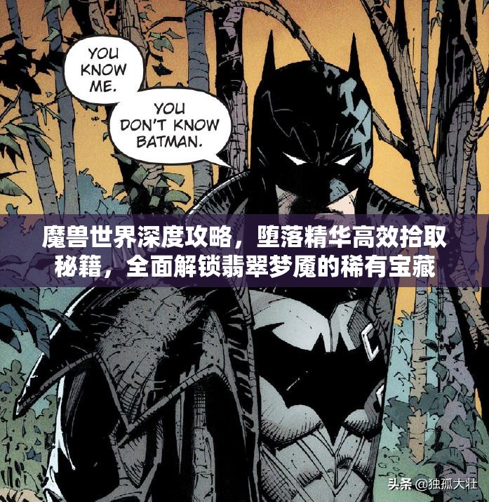 魔兽世界深度攻略，堕落精华高效拾取秘籍，全面解锁翡翠梦魇的稀有宝藏