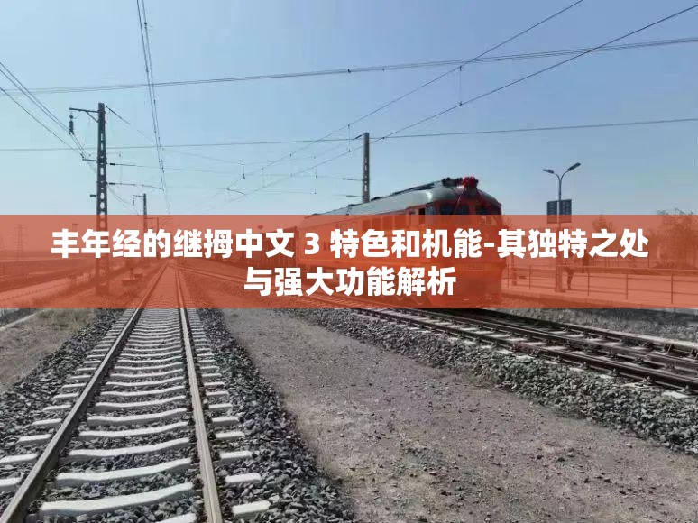 丰年经的继拇中文 3 特色和机能-其独特之处与强大功能解析