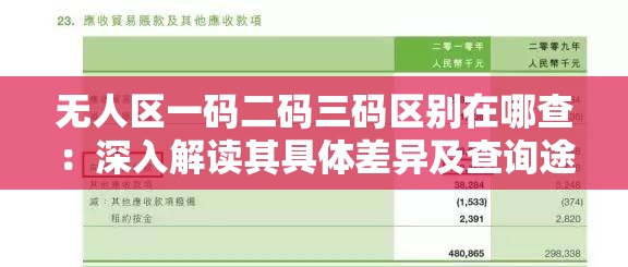 无人区一码二码三码区别在哪查：深入解读其具体差异及查询途径