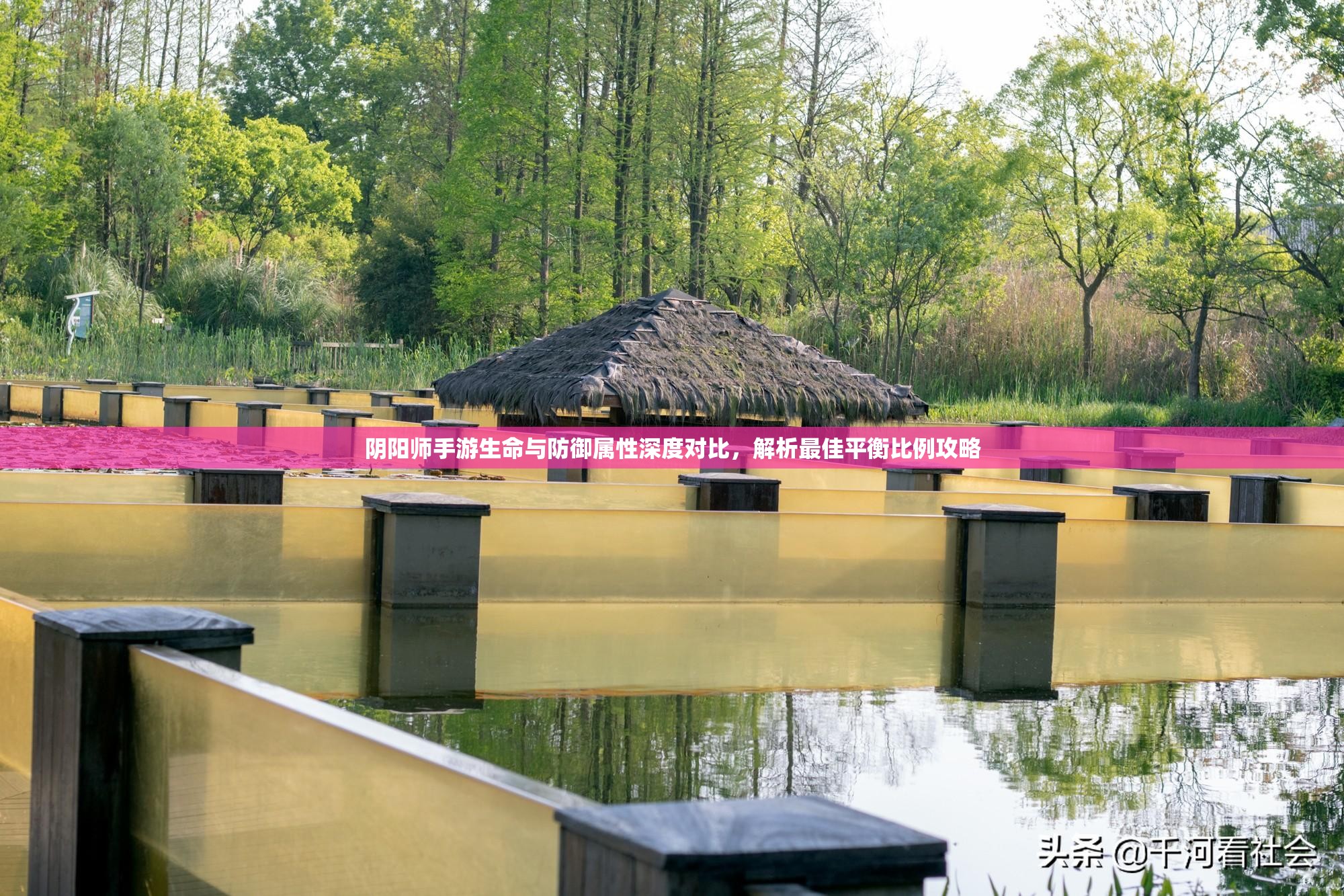 阴阳师手游生命与防御属性深度对比，解析最佳平衡比例攻略