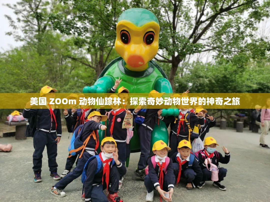 美国 ZOOm 动物仙踪林：探索奇妙动物世界的神奇之旅
