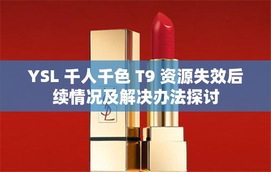 YSL 千人千色 T9 资源失效后续情况及解决办法探讨