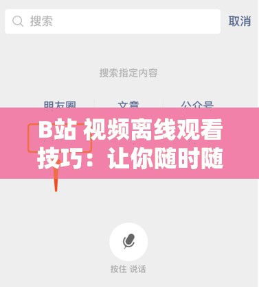 B站 视频离线观看技巧：让你随时随地畅享精彩内容